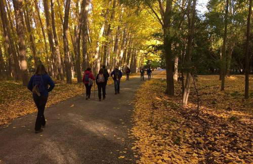 Molino del Machero - Foto 46