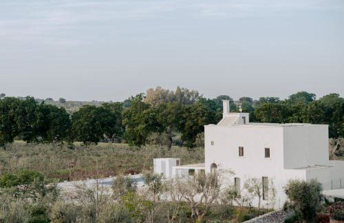 Casale Madre - Foto 6