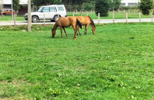 Studio- très calme - Proche Bidart et Guétary " AHETZE" - Foto 17