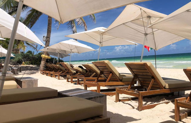 Beautiful Jungle Loft With Rooftop Pool and Gym - Photo 34