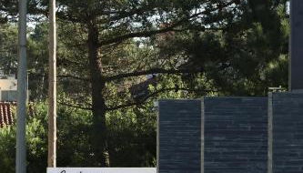 Bloom - Beach House - Foto 2