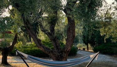 Casale Delle Querce farmhouse in Giove Umbria with pool - Foto 4