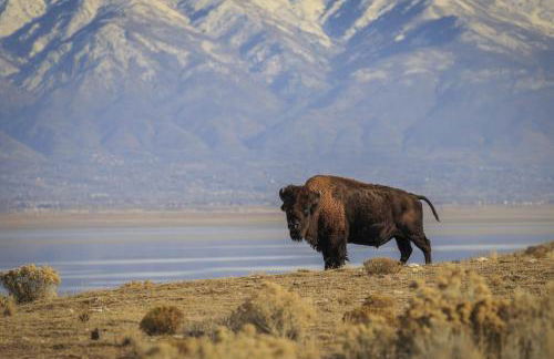 Raintree's The Miners Club Park City - Photo 60