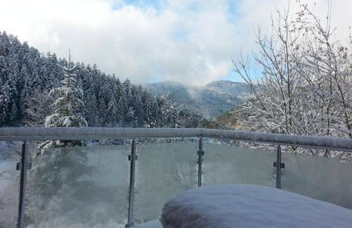 Holiday home in Hornberg with swimming pool - Foto 6