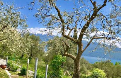 Caselli Vigole al Sole - Foto 31