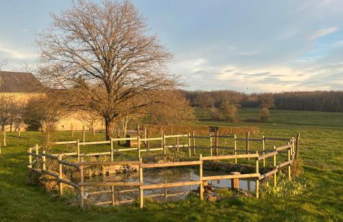 Mare aux nénuphars - Foto 12