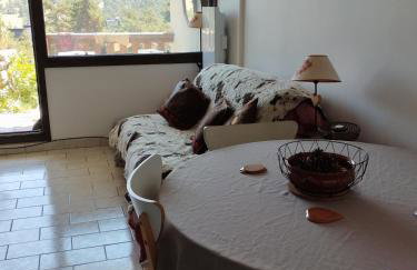 Gréolières les Neiges Studio 4 personnes - Foto 13