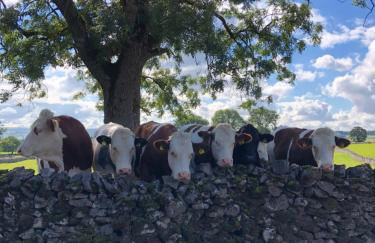 Lyme Tree Farm Cottages - Hotching Barn and Knockstone Cottage - Foto 49
