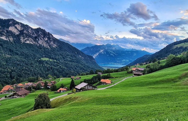 Serviced Apartment Chalet Bärgblüml i Ha - Foto 36