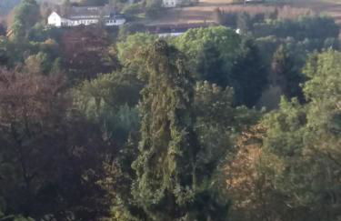 Ferienwohnung Zimt und Zucker - Foto 19