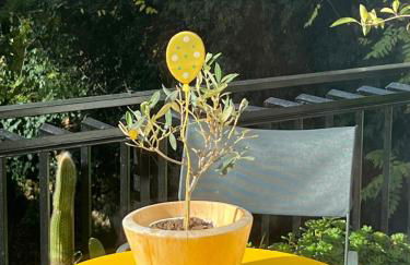 Orti18 - Ponte Milvio - Foto 11