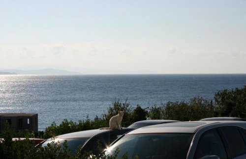 Yolanda Studios - Photo 29