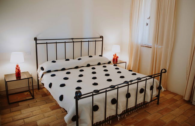 Tenuta Pianirossi - Photo 5