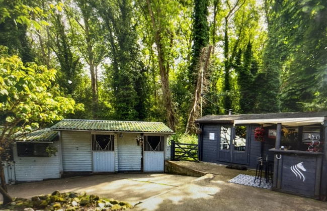 Beautiful 1-bed Secluded Cabin, With bar & Fire - Foto 13