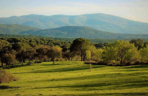 Casa Cuesta del Reloj - Photo 47
