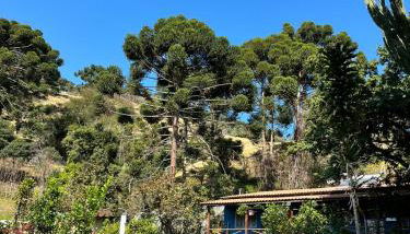 Chalés Lá na Roça - Foto 4