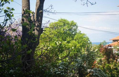 Apartment Lara - Photo 6