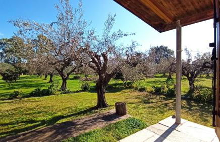 Nafpaktos cottage by the sea for travelers and dreamers! - Foto 58