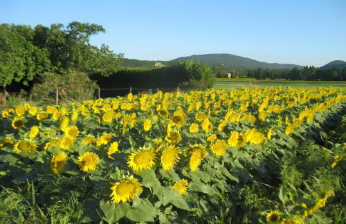 Appartement 1 - Foto 13