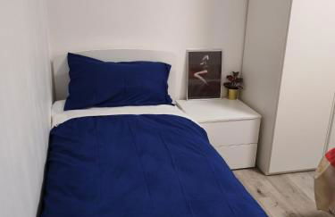 Casa ALFRED FIDENZA - Photo 15