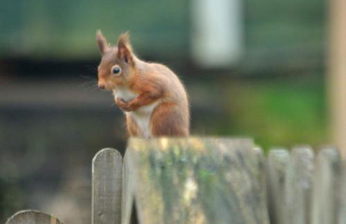 The Bridge Suite - Photo 18