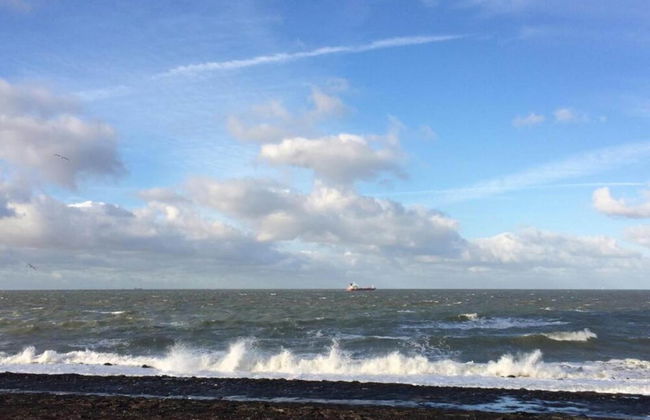 Bungalow Near Dutch Beach With Garden - Foto 36