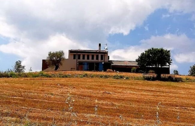 Agriturismo Le Piccole Macie - Photo 43