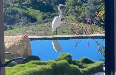 La Bella Vista Estate - Foto 13