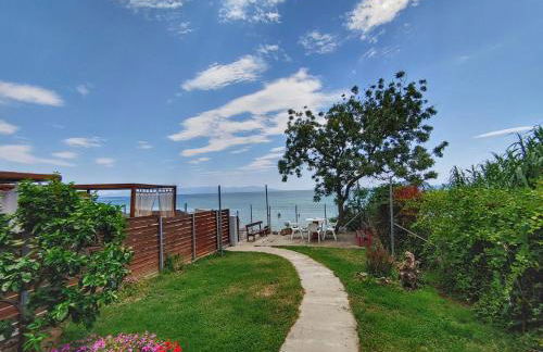 Stellar Blue Palio - Foto 13