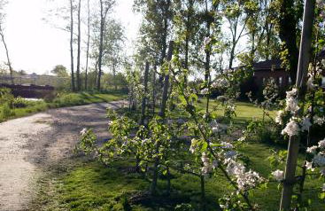 Schleusenhof Ferienwohnung - Foto 10