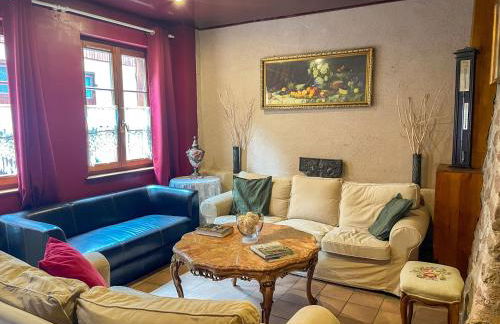 La Maison Bleue - Historic House in the Heart of Riquewihr - Foto 32