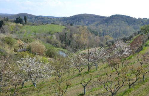 La Casina Sonia - Foto 12