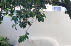 Uporto House Palace - Foto 78