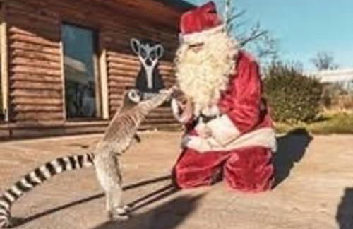 Farmhouse - Sleeps 6 - Near Alton Towers Peak Dist - Foto 21