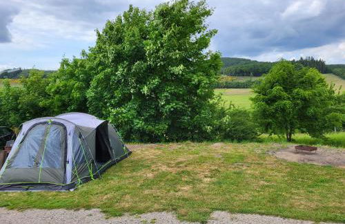 Lausebuche Im Sauerland - Foto 23