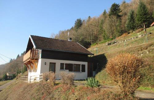 Chalet familial dans le Parc des Vosges, wifi et animaux acceptés - FR-1-589-840 - Foto 1