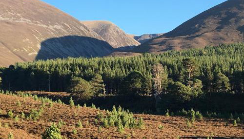 Glenfeshie Hostel - Foto 5