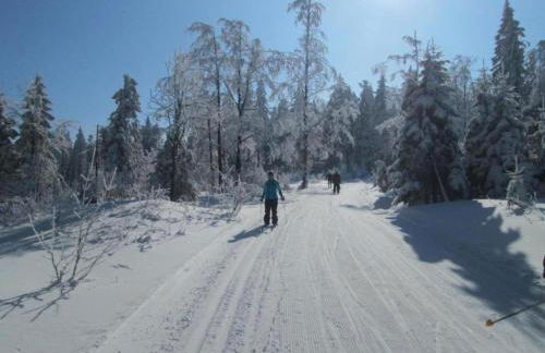 Das Kuenstlerhaus in Kammerstein - Photo 72