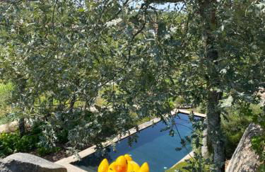 Refúgio do Mezio - Photo 29