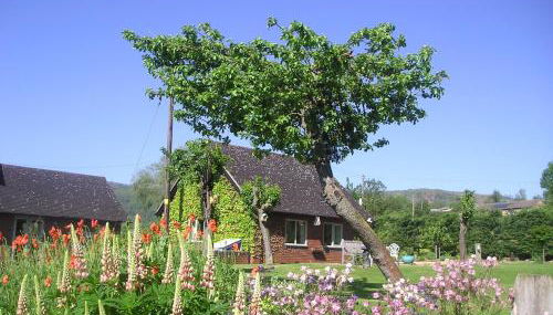 Myrtleberry Studio BnB - Foto 4, Garden, Garden view