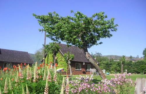 Myrtleberry Studio BnB - Foto 4