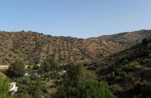 Finca Santa Matilde Málaga - Photo 37