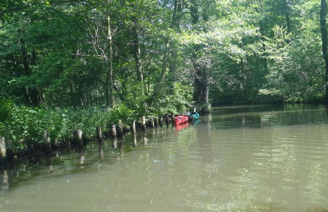 Holiday Apartment in the old Brewery - Foto 8