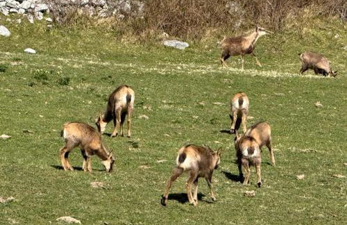Apartamentos El Caxigu - Foto 8