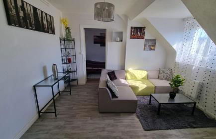 De Manhattan à la savane - Foto 2