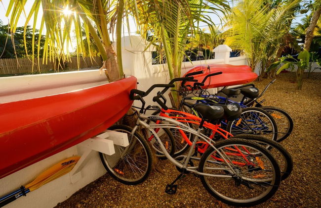 Beachfront Condo Complex In Placencia Village - Foto 39