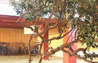 Estudio frente al mar - Foto 22