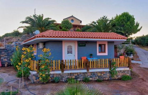 Pelegrines V. - Photo 1