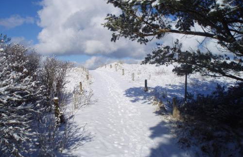 Ferienwohnungen Fischland - Foto 92