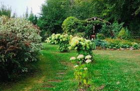 Miętowe Wzgórze "Sokoli Kamień" Dom z Widokiem na Wyłączność - Foto 48